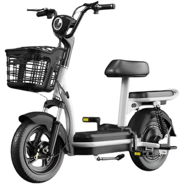 W3 Two wheel electric bike, 48v battery, 12a