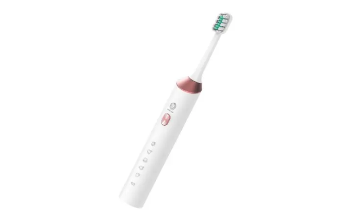 Green lion kids brush smart toothbrush